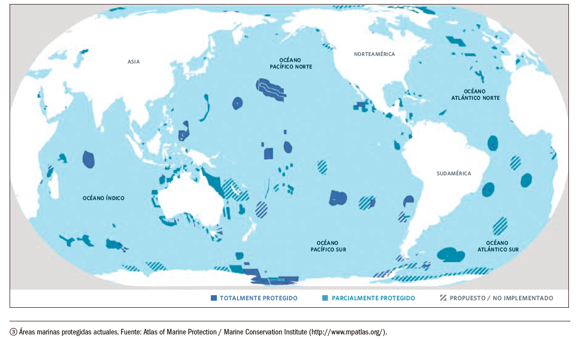 El contexto global de las Áreas Marinas Protegidas: logros, desafíos y direcciones futuras  – Dr. Alan M. Friedlander