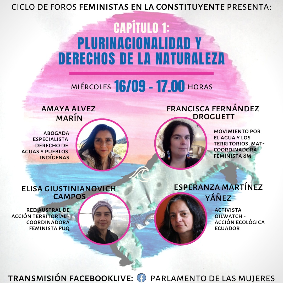 Invitación a ciclo de foros «Feministas en la Constituyente»: organiza Parlamento de las Mujeres de la Patagonia Rebelde