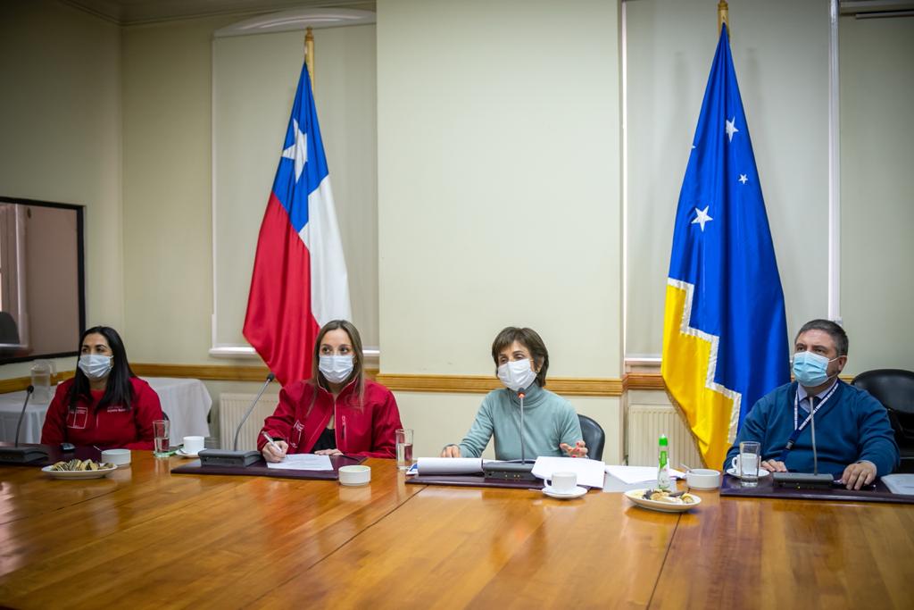 Subsecretaria Paula Daza se reunió con el Consejo Regional de Magallanes