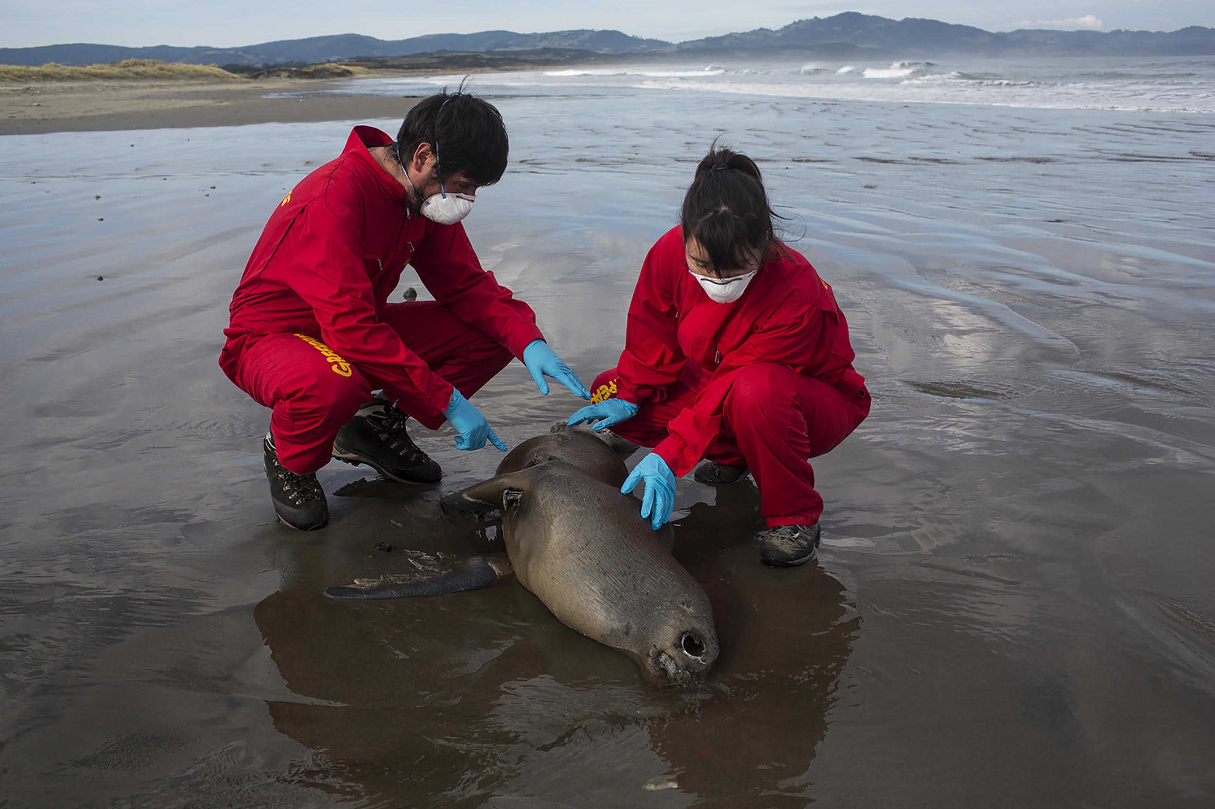 Día Nacional del Medioambiente: Los problemas ambientales que visibilizó la pandemia