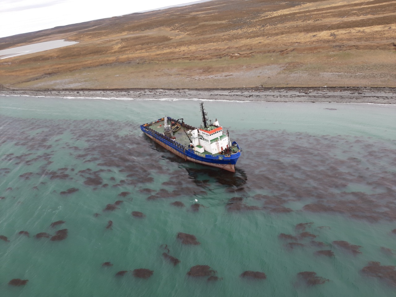 Motonave «Antartic Warrior» varó en la costa de la isla Tierra del Fuego en el estrecho de Magallanes