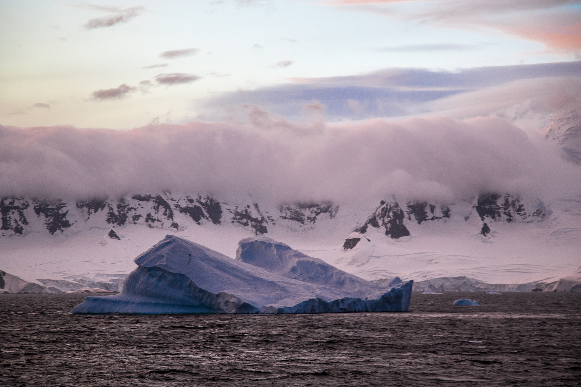 Nuevamente no se llega a acuerdo para la creación de una Área Marina Protegida en la península Antártica