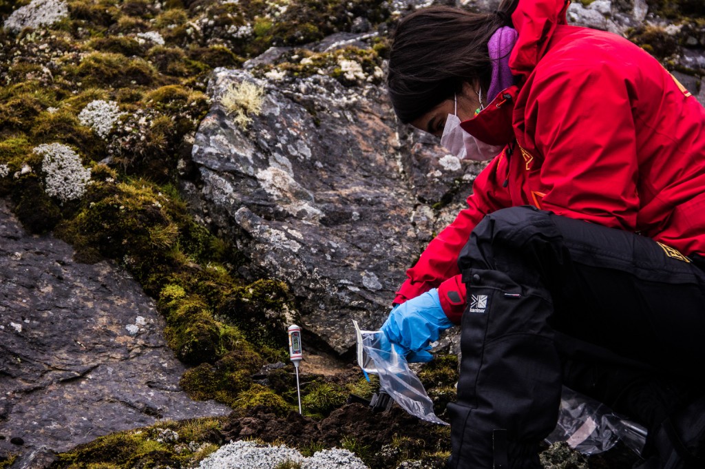 Comité internacional de ciencia antártica aprueba tres nuevos programas de investigación