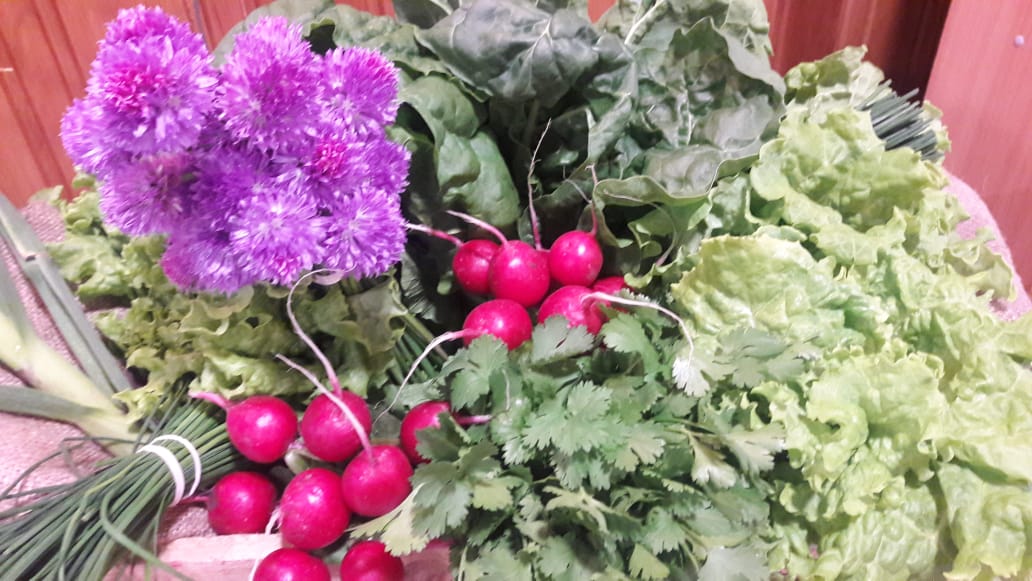 Autoridades llaman a consumir productos hortofrutícolas regionales, utilizando la plataforma “Mercado Campesino”.