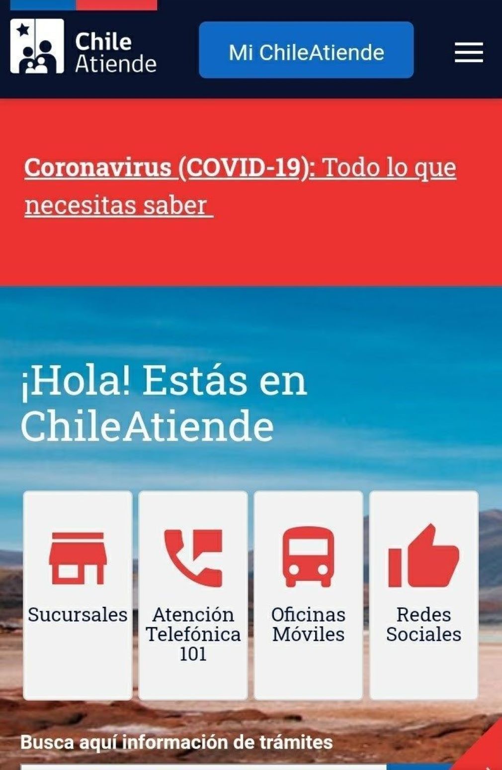 Portal web de Chile Atiende incorpora nuevos servicios en línea