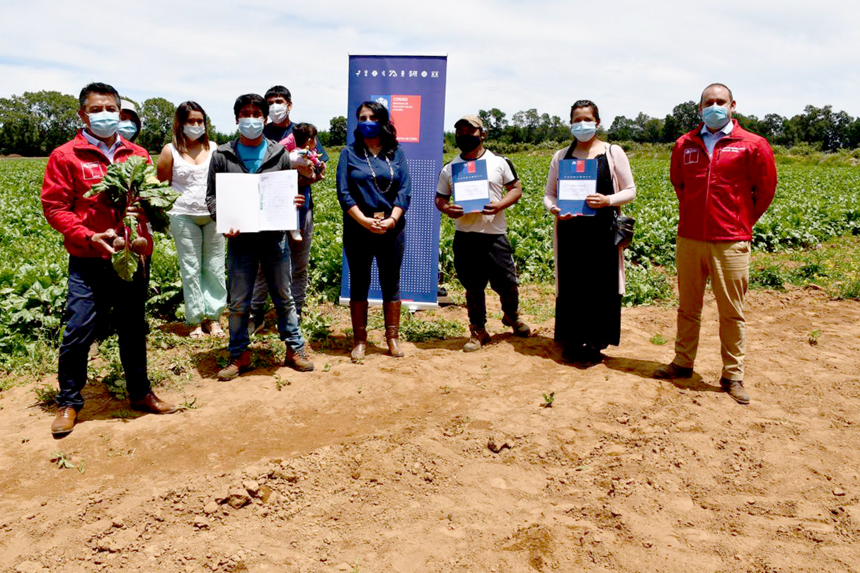 CONADI lanzó por primera vez concurso de subsidios de tierras 100% digital