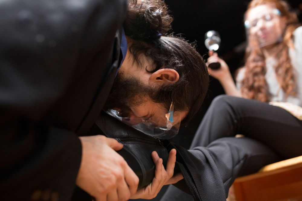 El 14 de Diciembre se estrena la obra “La señorita Julia” a través de UMAG TV