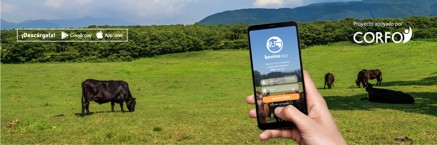 Con BovinoApp, no más papel y lápiz para los ganaderos en Magallanes
