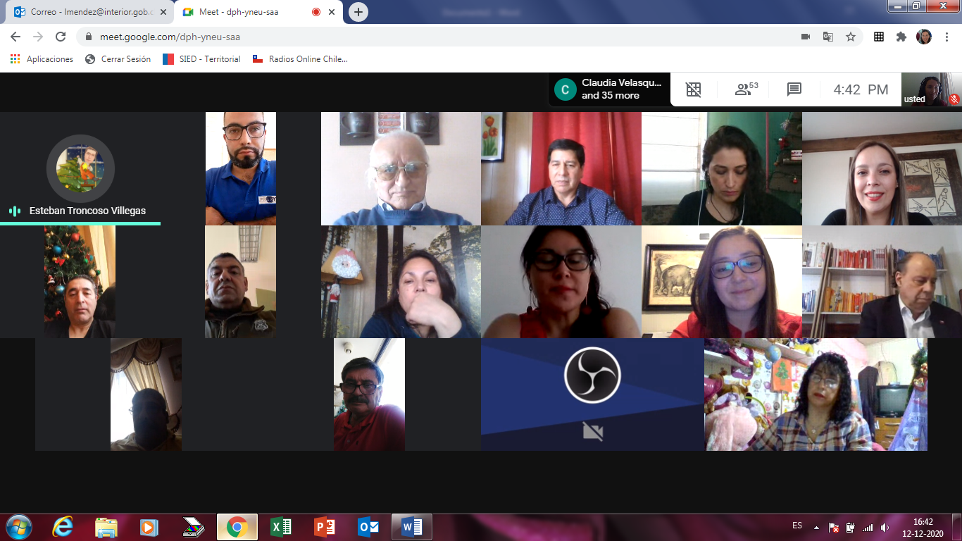 Vecinos de Villa Torres del Paine de Punta Arenas aumentan su seguridad con nuevo proyecto FNSP