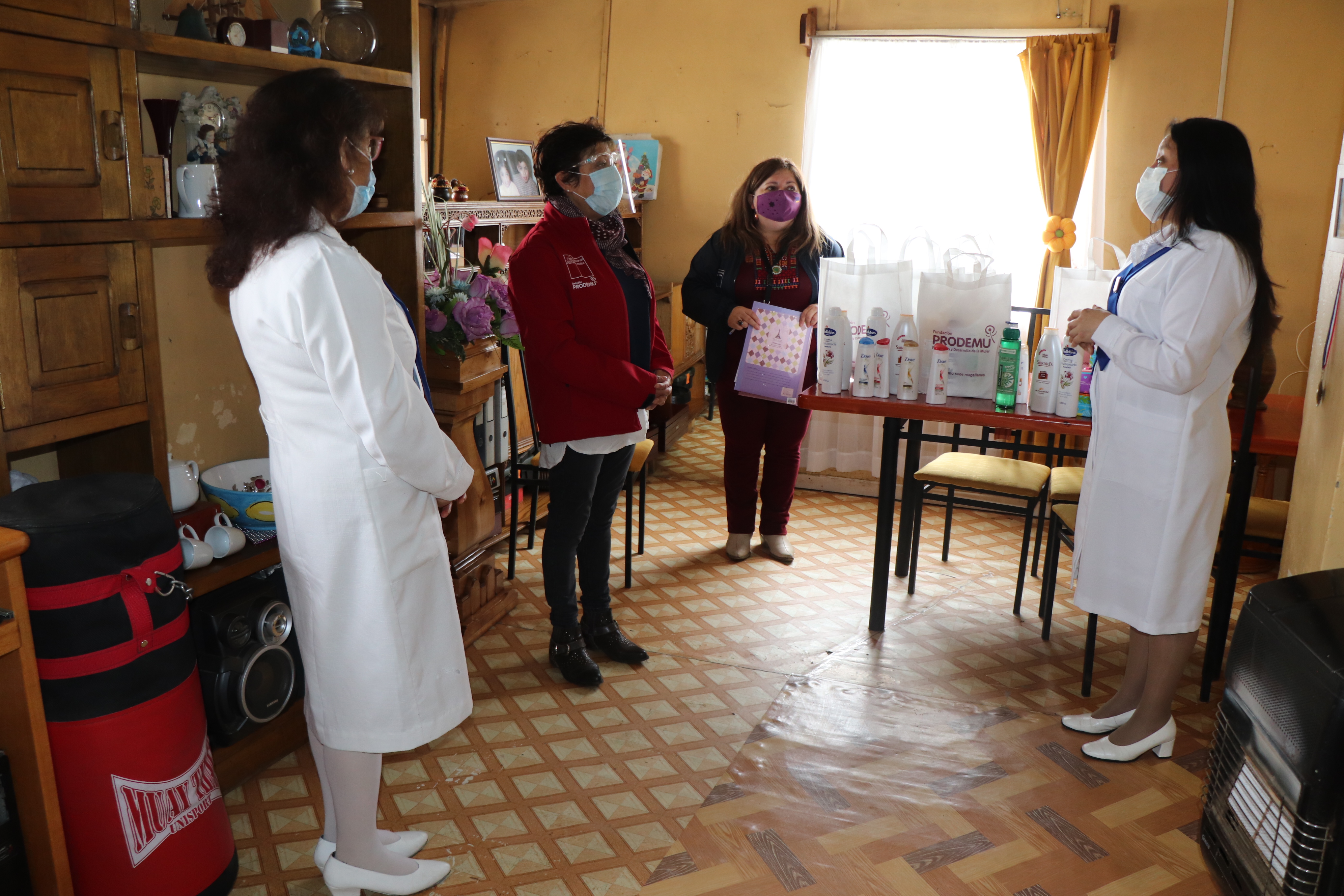 PRODEMU Magallanes entregó Fondo de Apoyo a organizaciones sociales