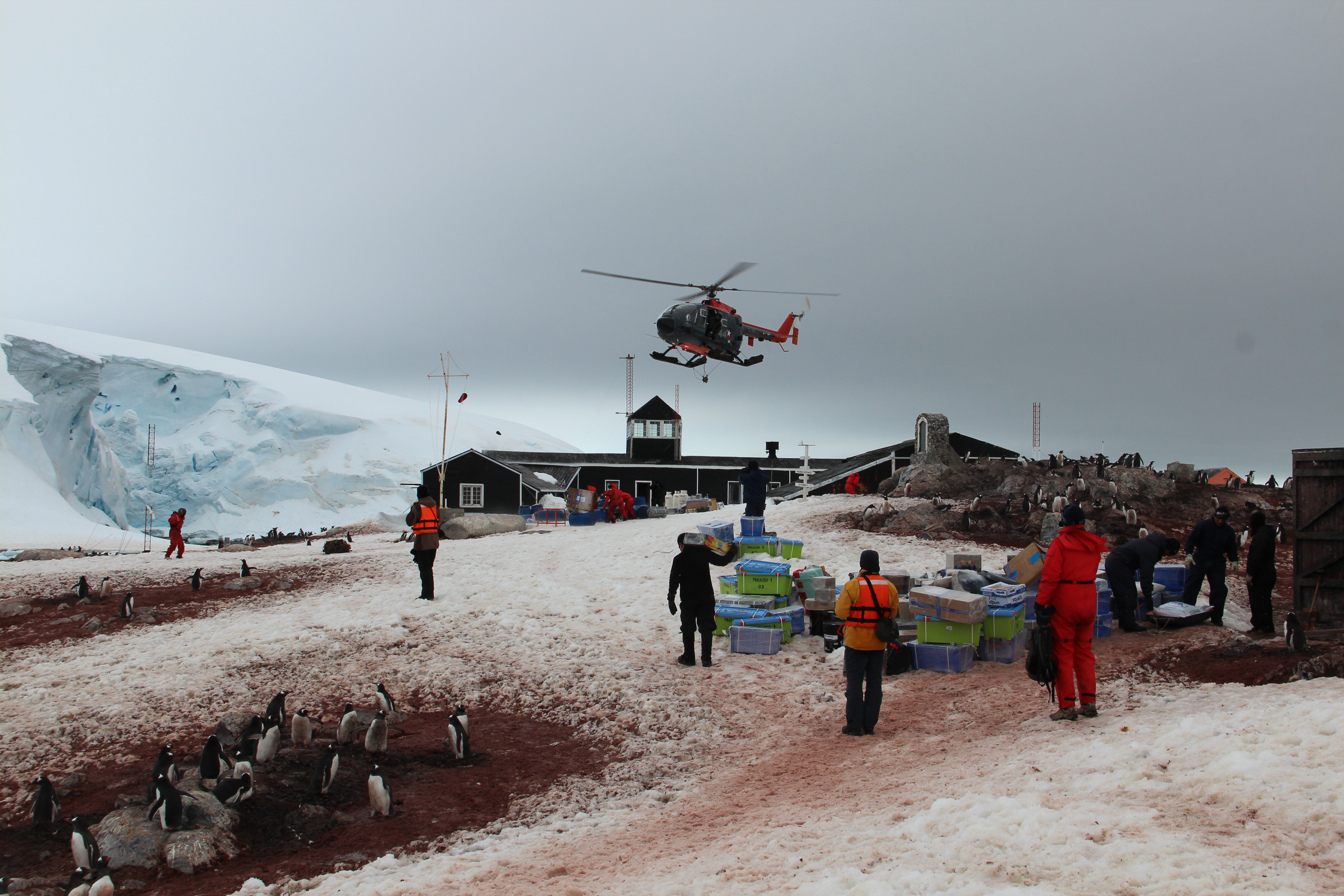 Capitanía de Puerto “Bahía Paraíso”:   25 años de presencia Antártica
