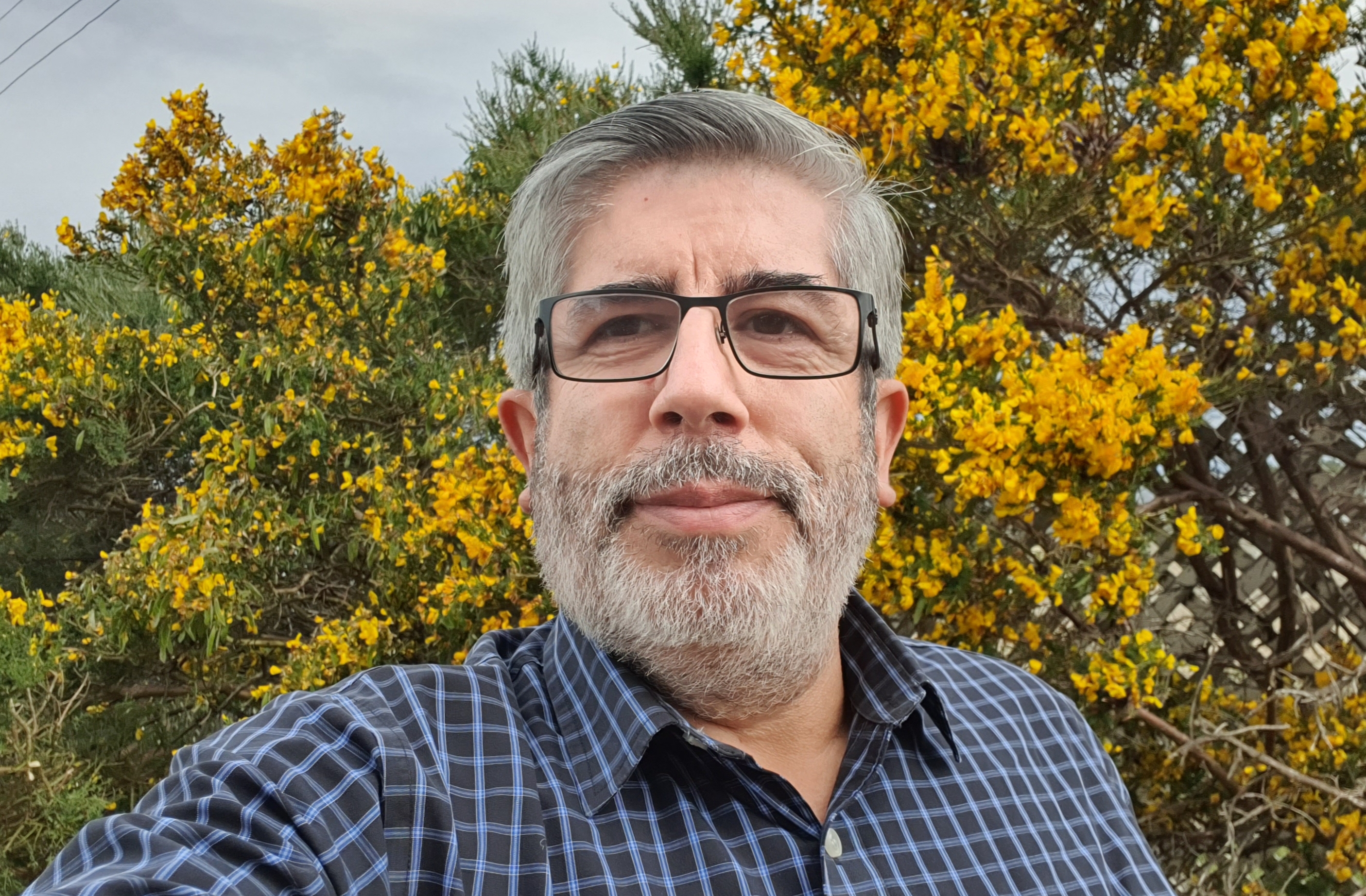 Crear una Constitución – Javier Solís – Opinión