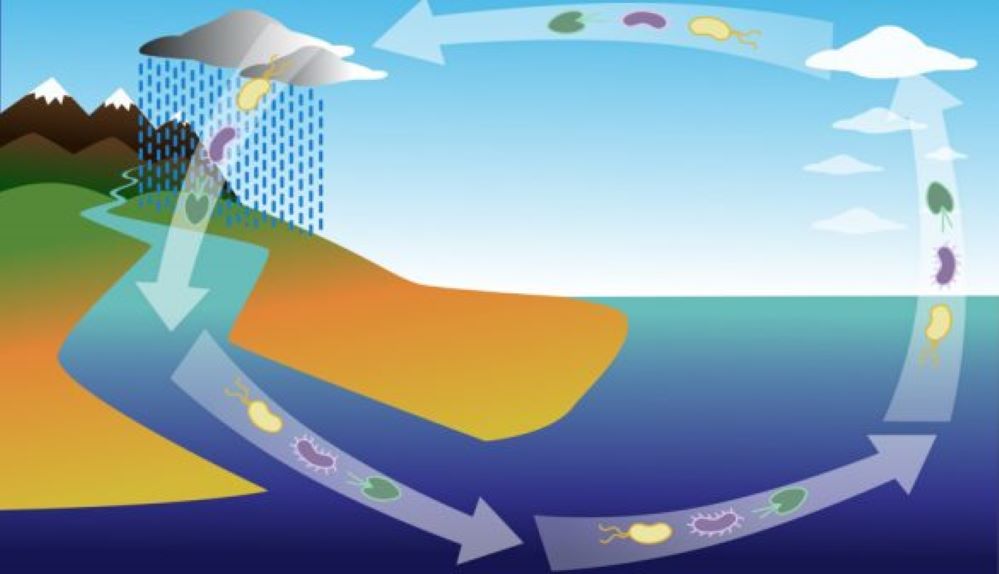 ¿Nuevas pandemias? Estudio postula que los microorganismos del planeta están conectados globalmente a través de una “cinta transportadora”