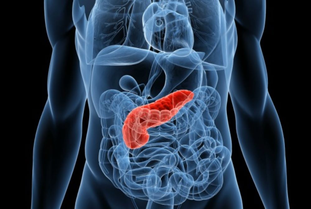 Aumento en incidencia  y mortalidad por cáncer de páncreas advierten especialistas en Chile y en el mundo