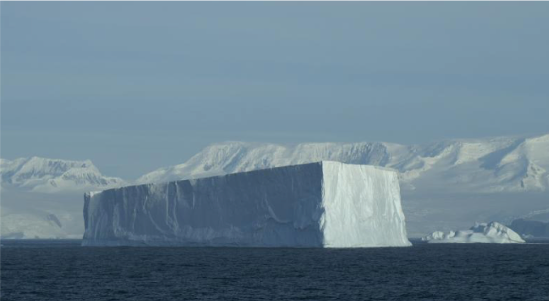 La importancia del  constante monitoreo de los hielos marinos en la península Antártica