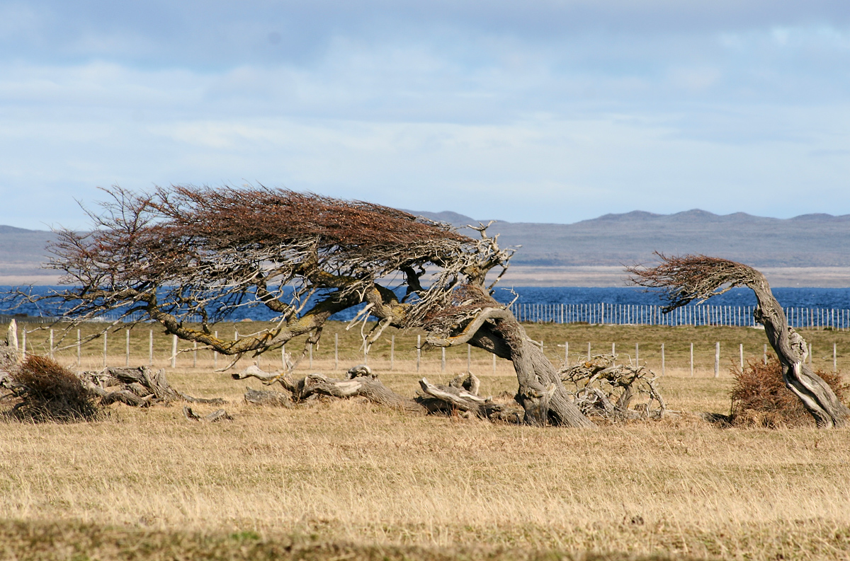 Chubascos débiles, vientos hasta 70 kmh y alto índice de radiación UV, se pronostican este jueves 24 en Magallanes