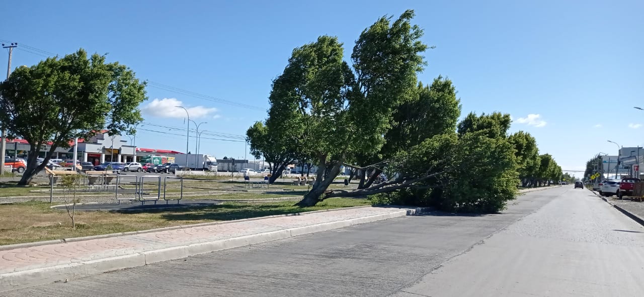 Distintos incidentes ocasionaron fuertes rachas de viento en Punta Arenas, esta tarde de sábado 2 de enero