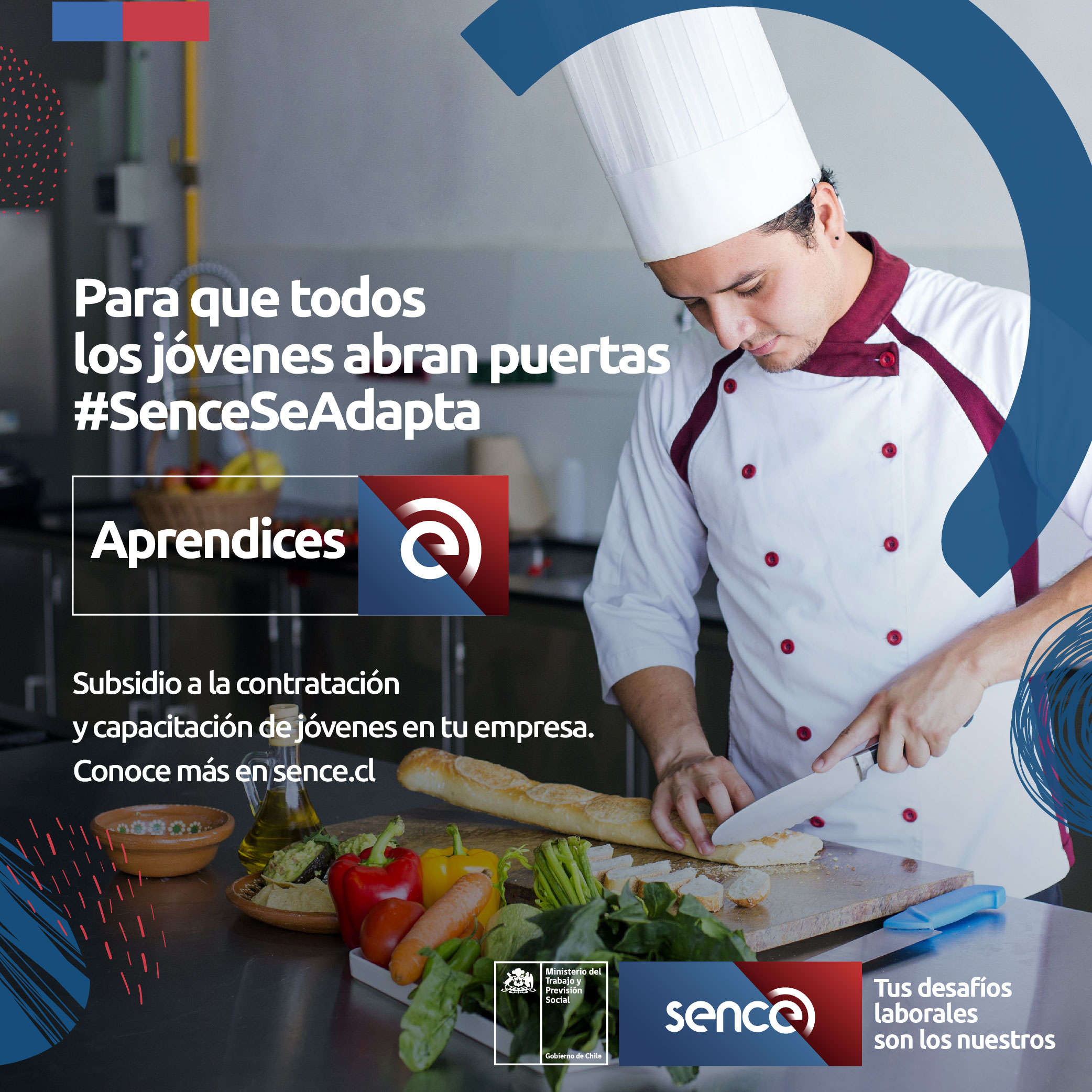 Programa Aprendices: En Magallanes el SENCE abre cupos para que empresas contraten y capaciten jóvenes