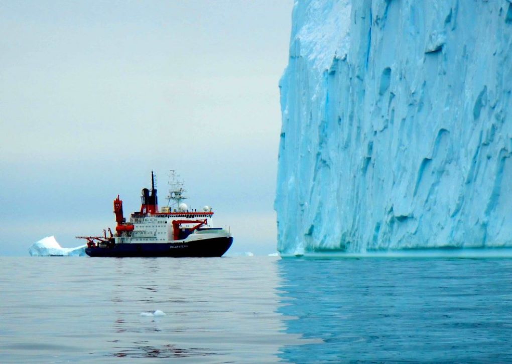 Descubren vestigios de una selva tropical en la Antártica: una investigación de la Fundación Glaciares Chilenos