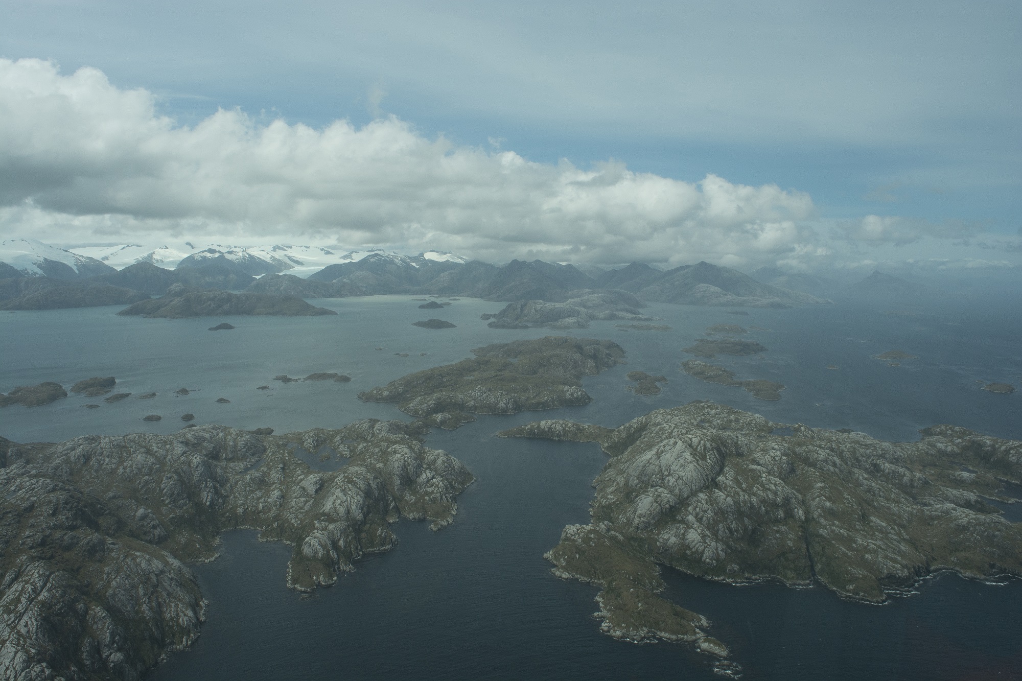 Avanza plan de fiscalización y vigilancia del Parque Marino Islas Diego Ramírez  y Paso Drake