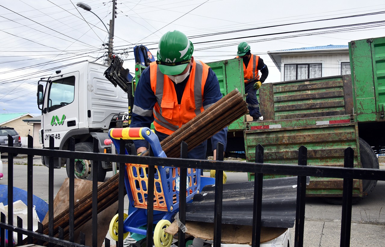 Se inició proceso de retiro de cachureos en la comuna de Punta Arenas