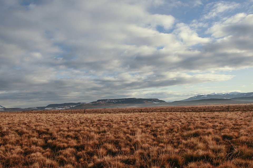 Nublados parciales, temperaturas hasta 20° C y vientos moderados pronostican este martes 19 de enero en Magallanes