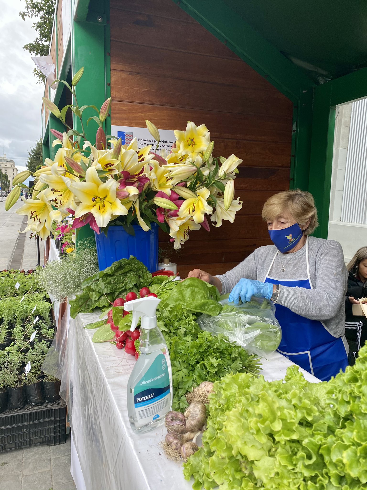 Agricultores regionales en feria local en el centro de Punta Arenas los sábado y domingo