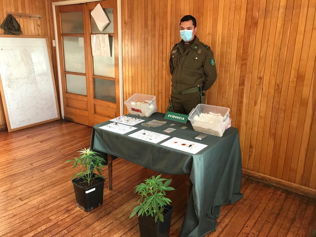 Una mujer detenida en Porvenir por cultivo  de cannabis sativa y tráfico de drogas