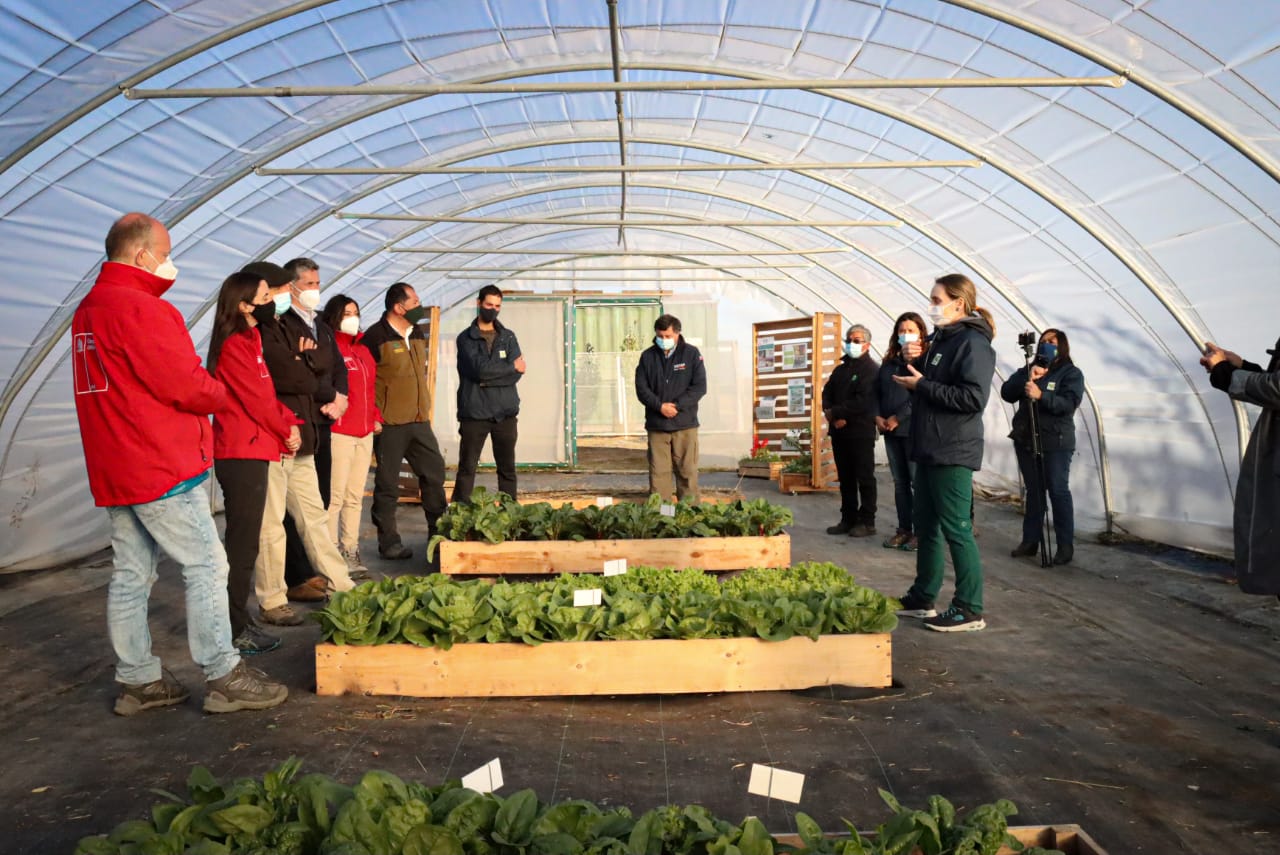 En Puerto Natales: Con visita a Faro Tecnológico del INIA, autoridades valoraron el trabajo realizado para potenciar la horticultura sustentable