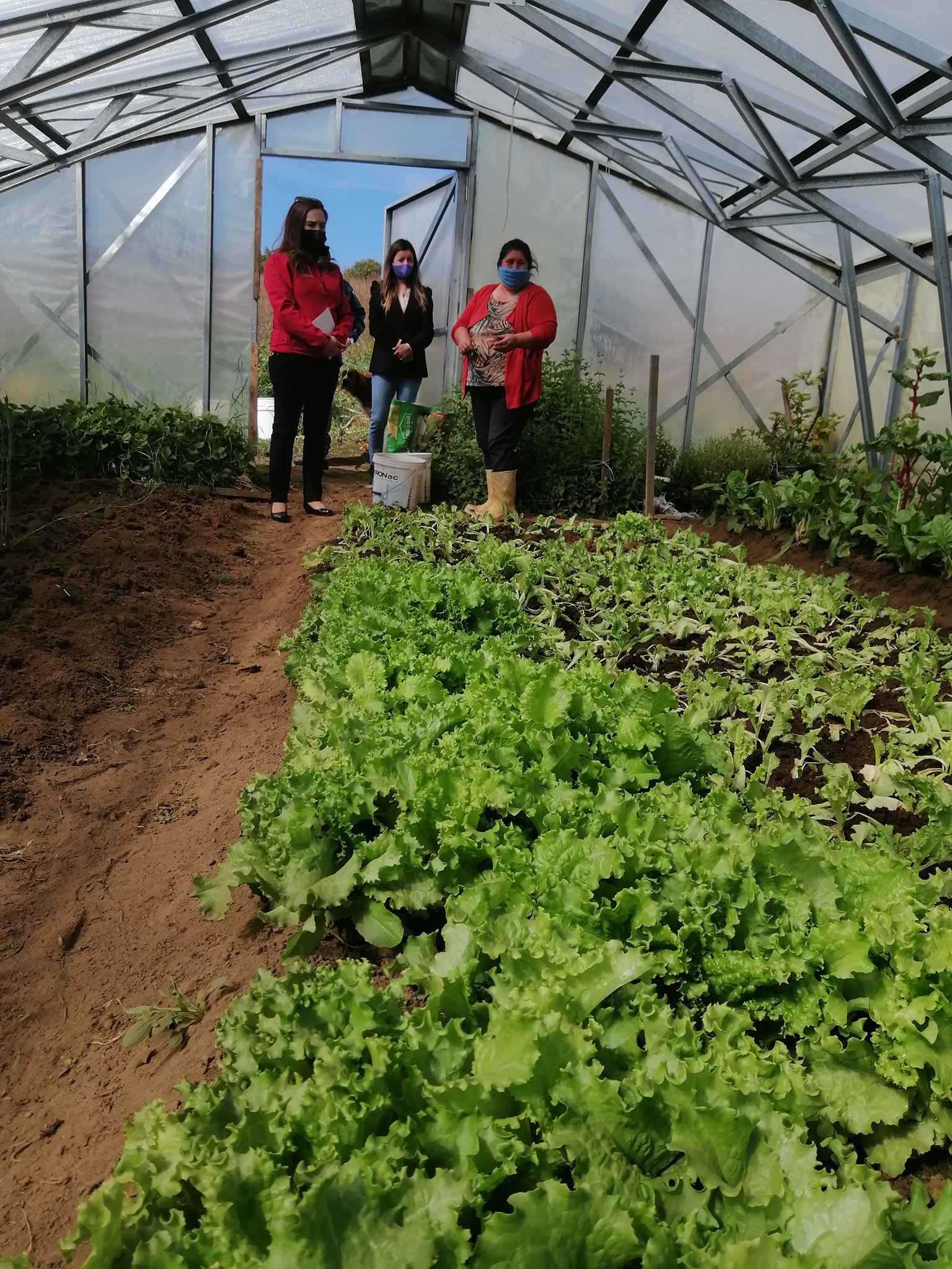 SEREMI de la Mujer apoyará a mujeres emprendedoras del sector agrícola para difundir sus productos en Magallanes