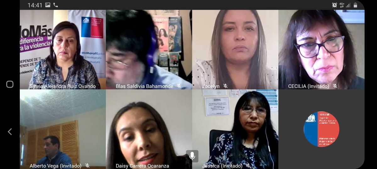 Cerca de 60 funcionarias y funcionarios del Servicio Nacional del Consumidor, SERNAC, fueron capacitados en Magallanes en Metodologías para dar primera respuesta a las mujeres que viven violencia