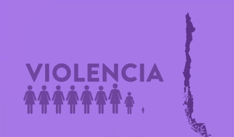 Seremía de la Mujer y Equidad de Género de Magallanes entregó capacitación a funcionarios del Sernac de todo el país.