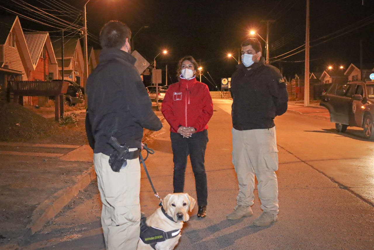 Operativo nocturno en Puerto Natales finalizó con una veintena de detenidos y 9 sumarios sanitarios