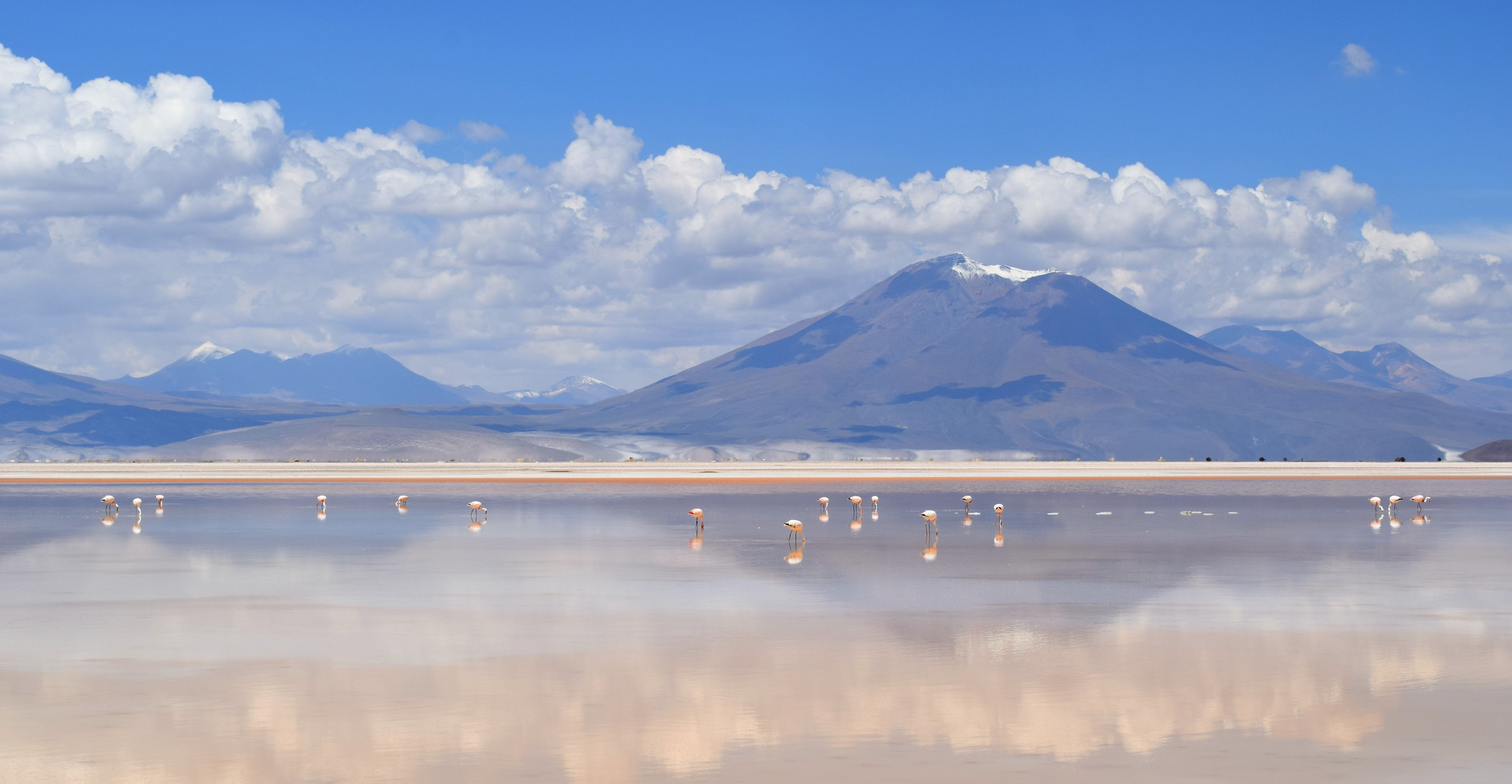 Día Mundial de los Humedales: participa en la segunda versión del concurso nacional de fotografía sobre conservación de humedales en Chile