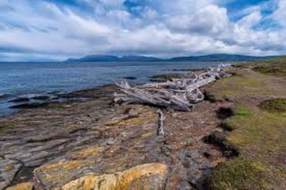 Chubascos débiles, vientos hasta 70 kmh y temperaturas hasta 19° se prevén en Magallanes este jueves 11