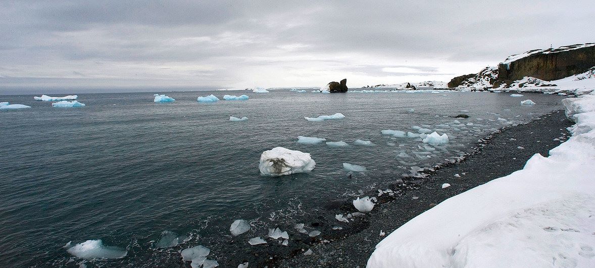 Algas contribuyen a la pérdida de nieve en la península Antártica