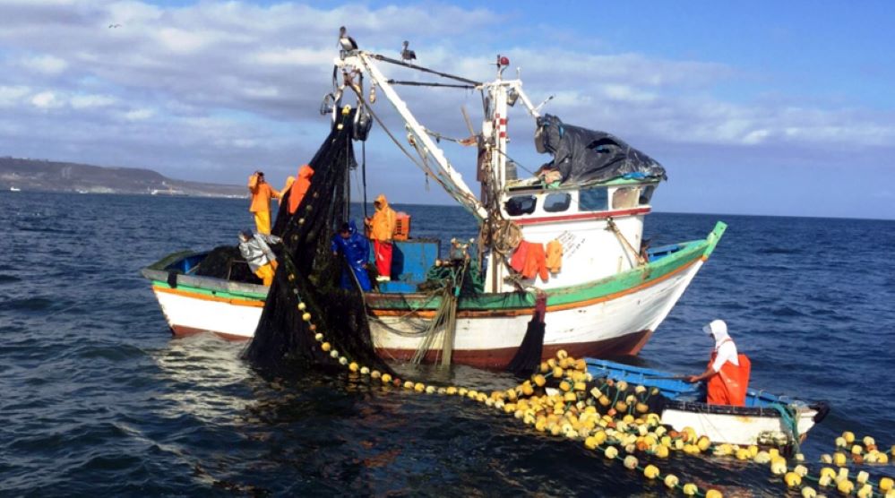 Dirigentes de la Pesca Artesanal apoyan unánimemente anular la Ley de Pesca