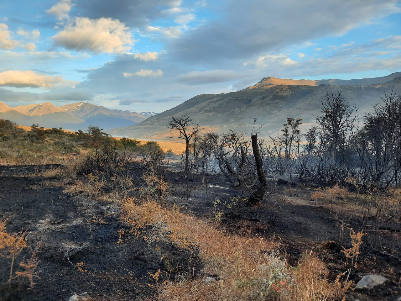 Incendio que afecta a sector de Laguna Sofía ya ha consumido 17,7 hectáreas