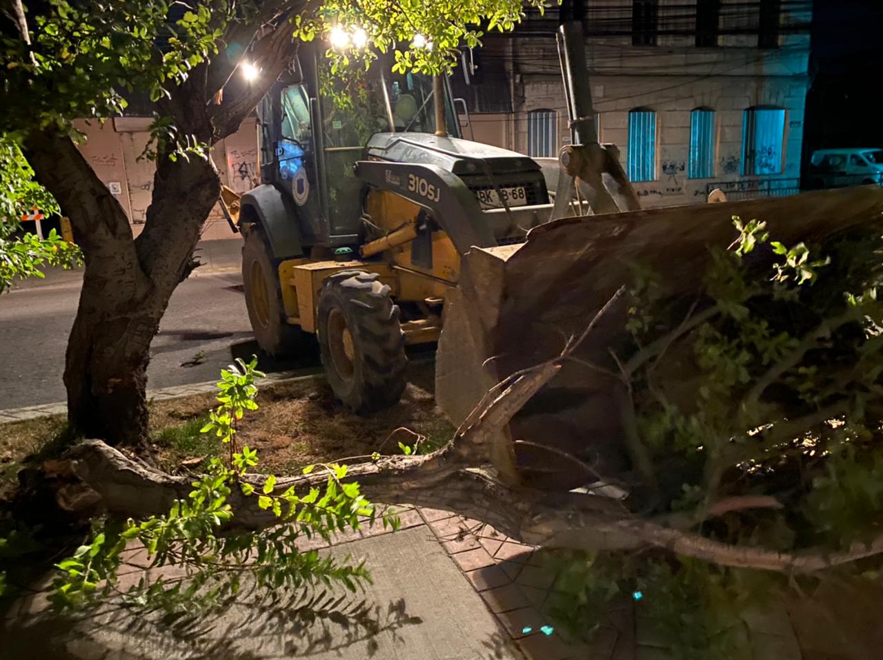 104 llamados recibió el Municipio de Punta Arenas este fin de semana para atender emergencias producidas por el viento