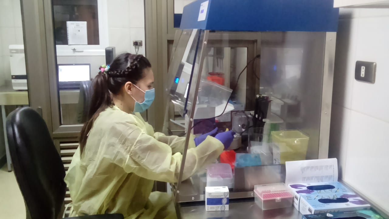 Exitosa respuesta de los laboratorios PCR en la región de Magallanes: en 24 horas entregan resultados