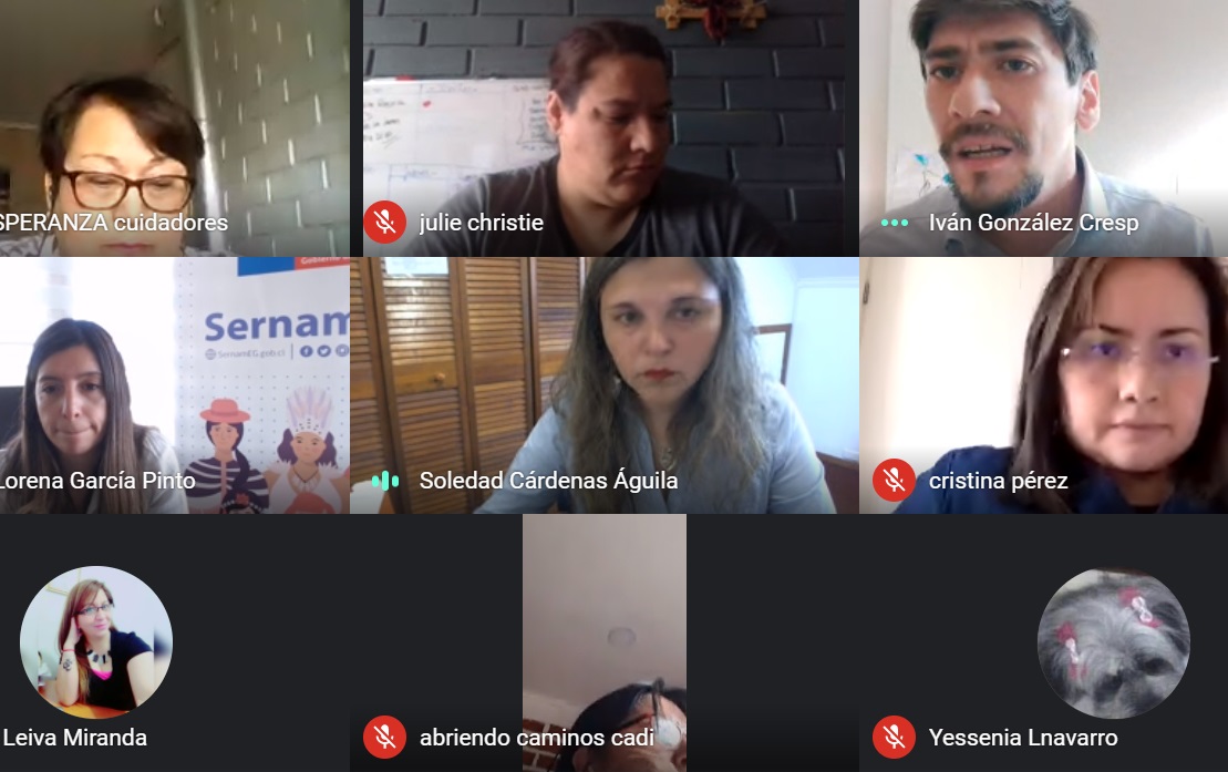 Senadis organizó charla sobre discapacidad, género y cuidados primarios en Magallanes