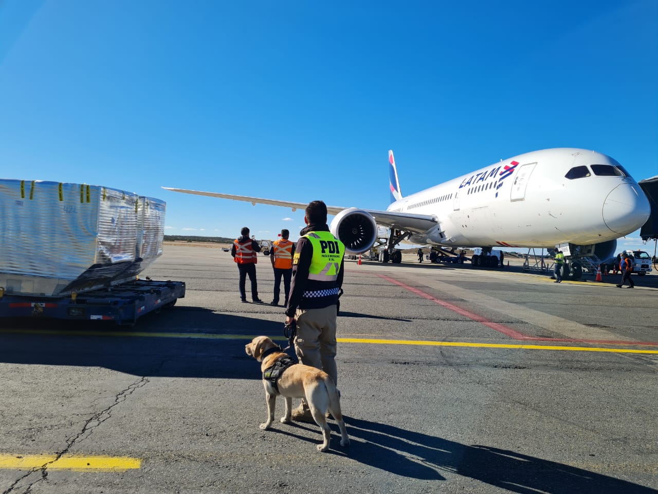 Brigada Antinarcóticos y Contra Crimen Organizado de la PDI realiza fiscalización en el Aeropuerto Internacional de Punta Arenas