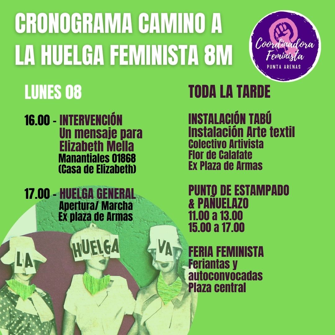 Coordinadora Feminista realizará actividad en Punta Arenas bajo estrictas medidas de autocuidado