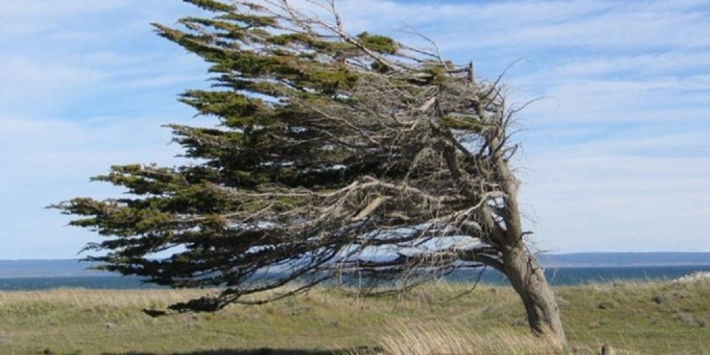 ONEMI declara Alerta Temprana Preventiva por vientos en las provincias de Magallanes y Tierra del Fuego