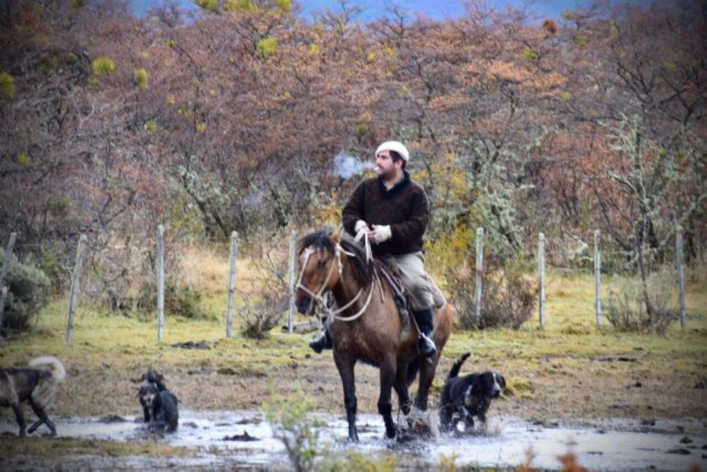 Retomar las buenas prácticas ganaderas, la mejor estrategia para prevenir y erradicar la hidatidosis en Magallanes