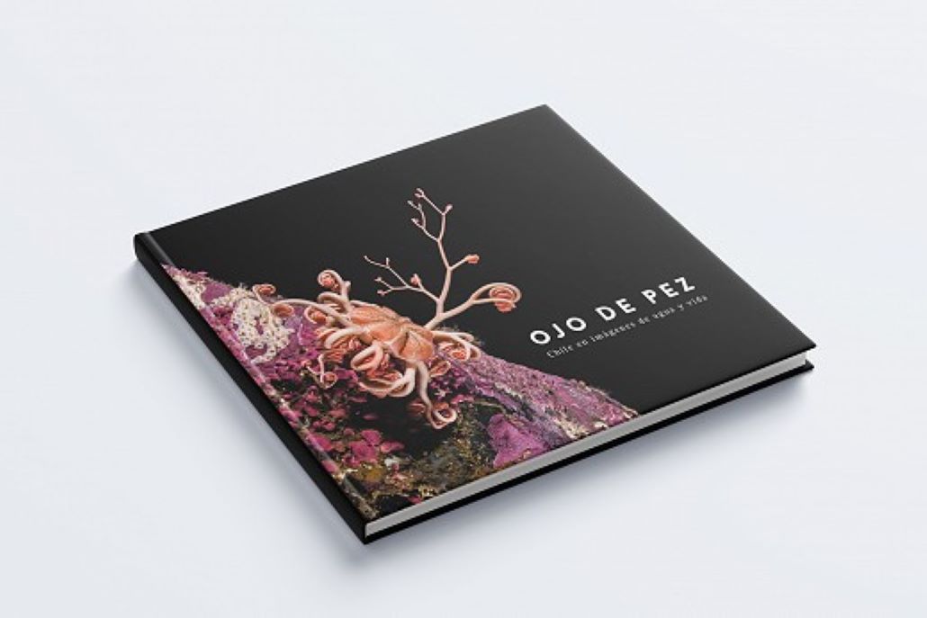 Centro IDEAL presentará libro de fotografías de ecosistemas acuáticos de Chile: “Ojo de Pez, Chile en imágenes de agua y vida”