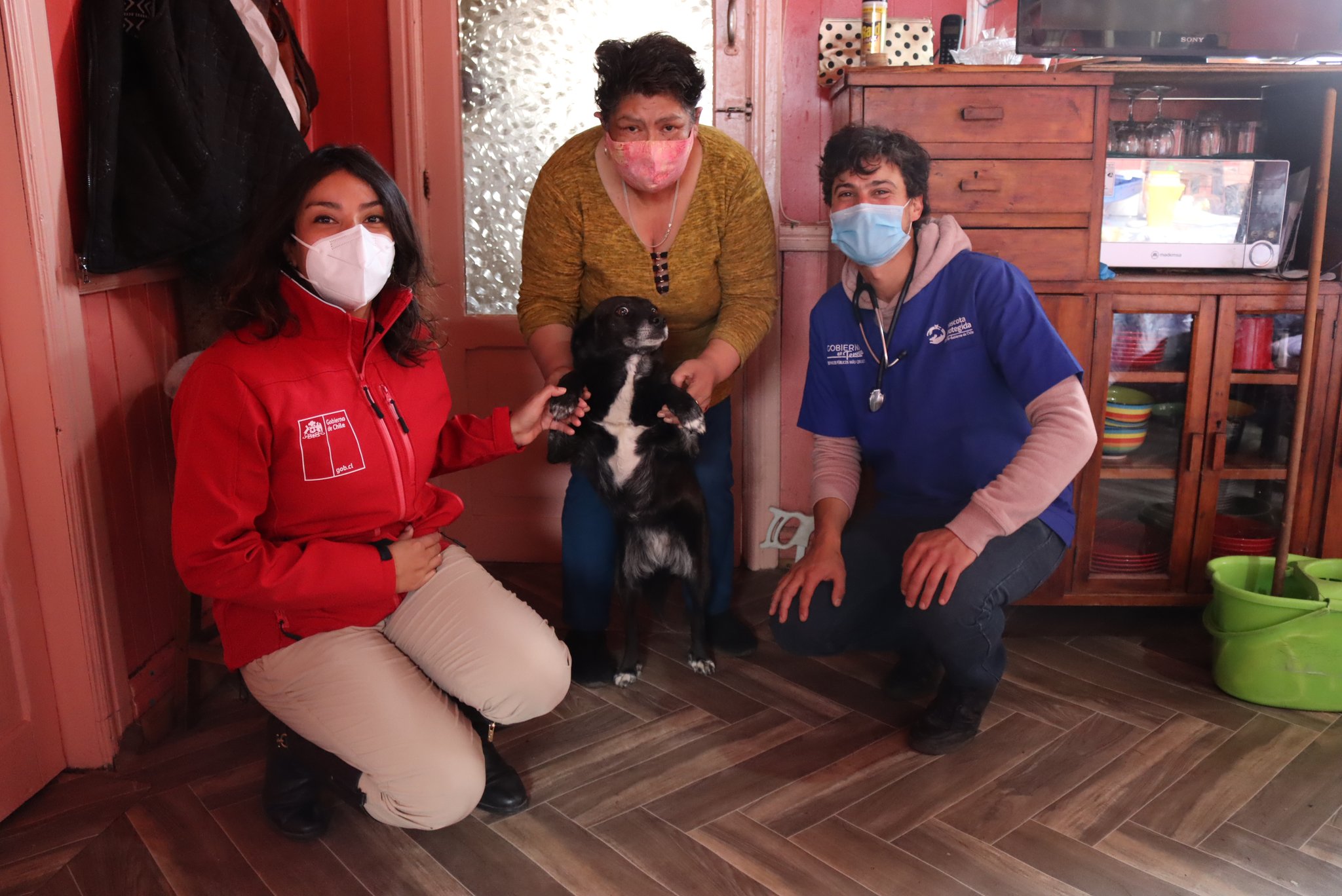 Superando meta propuesta finaliza programa Veterinario en Terreno de la Gobernación de Ultima Esperanza