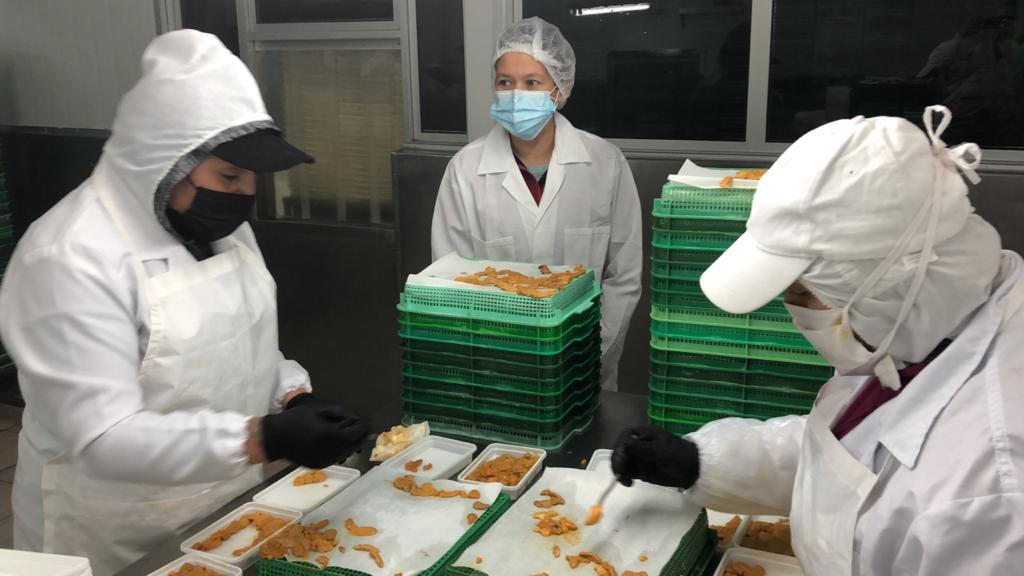 Positivo balance hacen autoridades regionales del Subsidio al Empleo en Magallanes