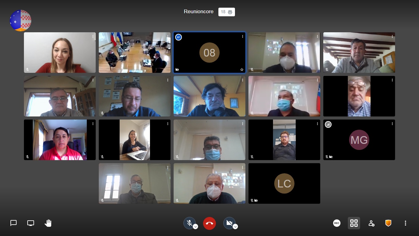 Sesión plenaria del Consejo Regional analizó la situación de la pandemia en la región de Magallanes