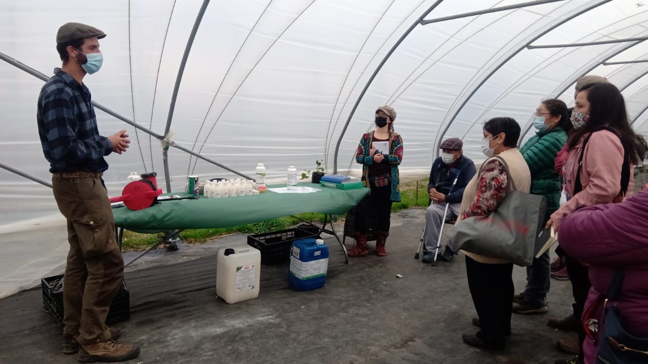 Realizan taller para cuidados invernales de cultivos de frutillas a agricultores de GTT de Puerto Natales